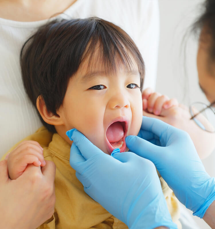 乳歯のお子様の口腔育成「Vキッズ」について